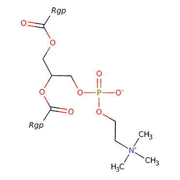 Lecithin (powder), 97%